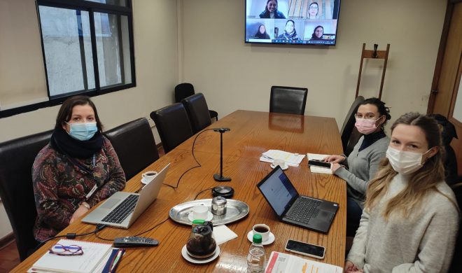 Se conforma mesa técnica para la implementación de la ley 21.369 que regula el acoso sexual, la violencia y la discriminación de género en la educación superior