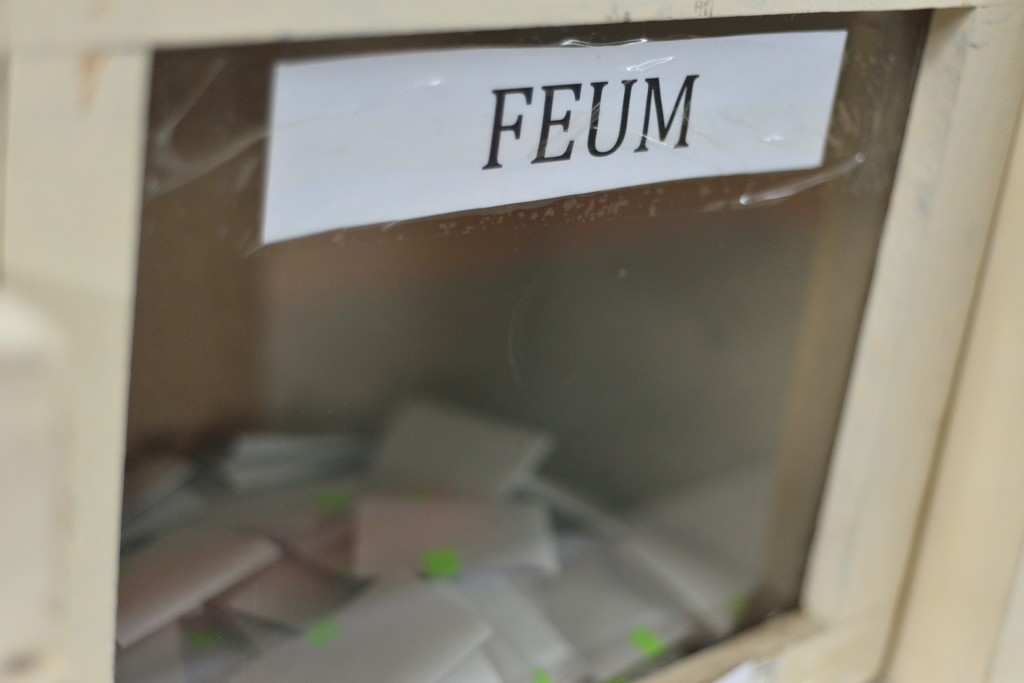 FEUM: Parte proceso eleccionario 2022 para Centros de Estudiantes y Mesa Ejecutiva