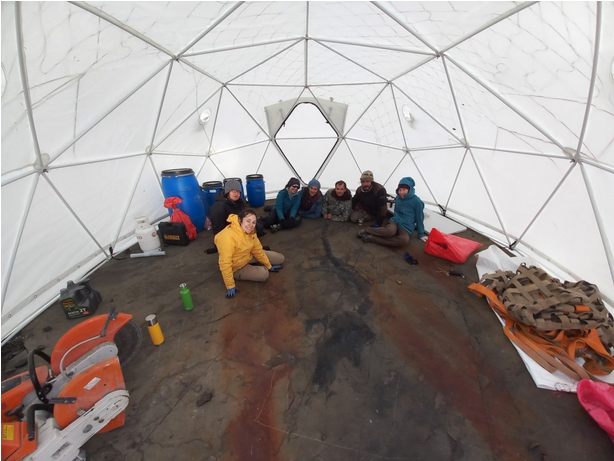 Logran recuperar al primer ictiosaurio completo desde un glaciar en la Patagonia chilena