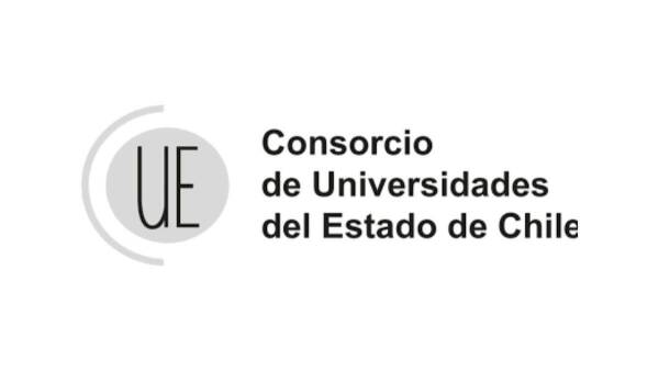 El CUECH llama a transparentar el uso de recursos públicos en universidades privadas
